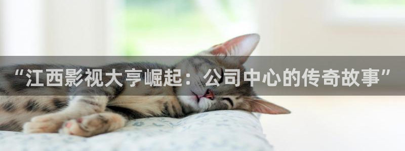 草民神马影院：“江西影视大亨崛起：公司中心的传奇故事”