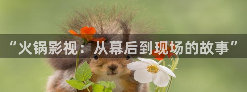 草民电视电影网：“火锅影视：从幕后到现场的故事”