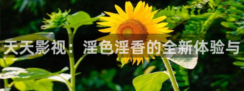 草民电影网神马影院