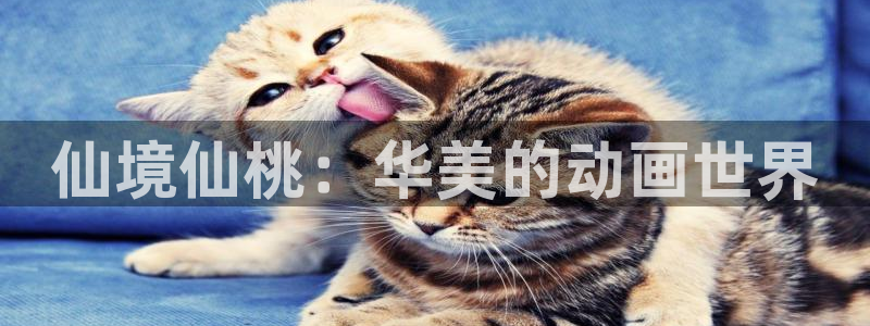 草民电视电影网：仙境仙桃：华美的动画世界